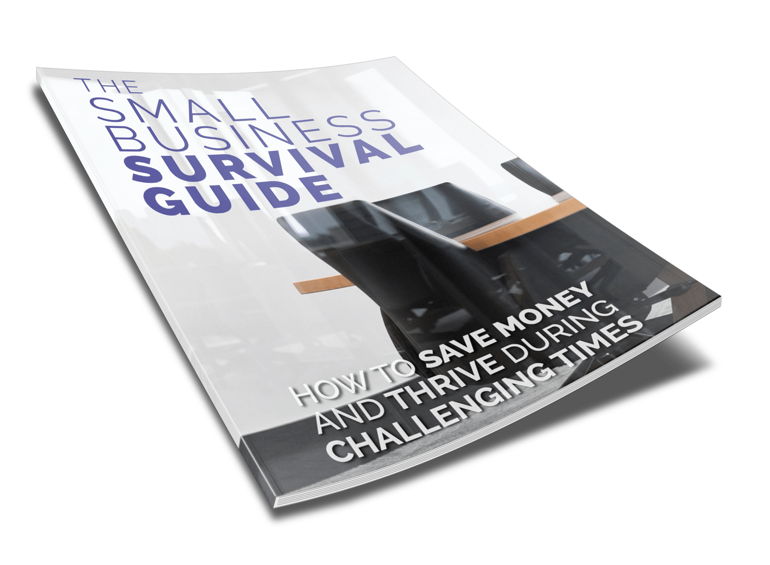 Small Business Survival Guide - 2